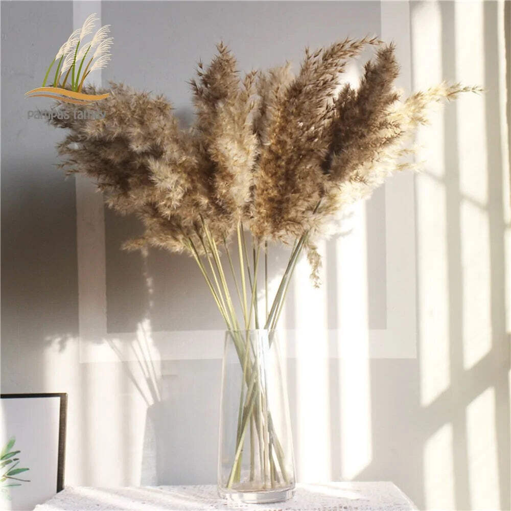 Pampas Grass Dried Decor Natural Home Boho Bouquet Decor, PCS for Stems White