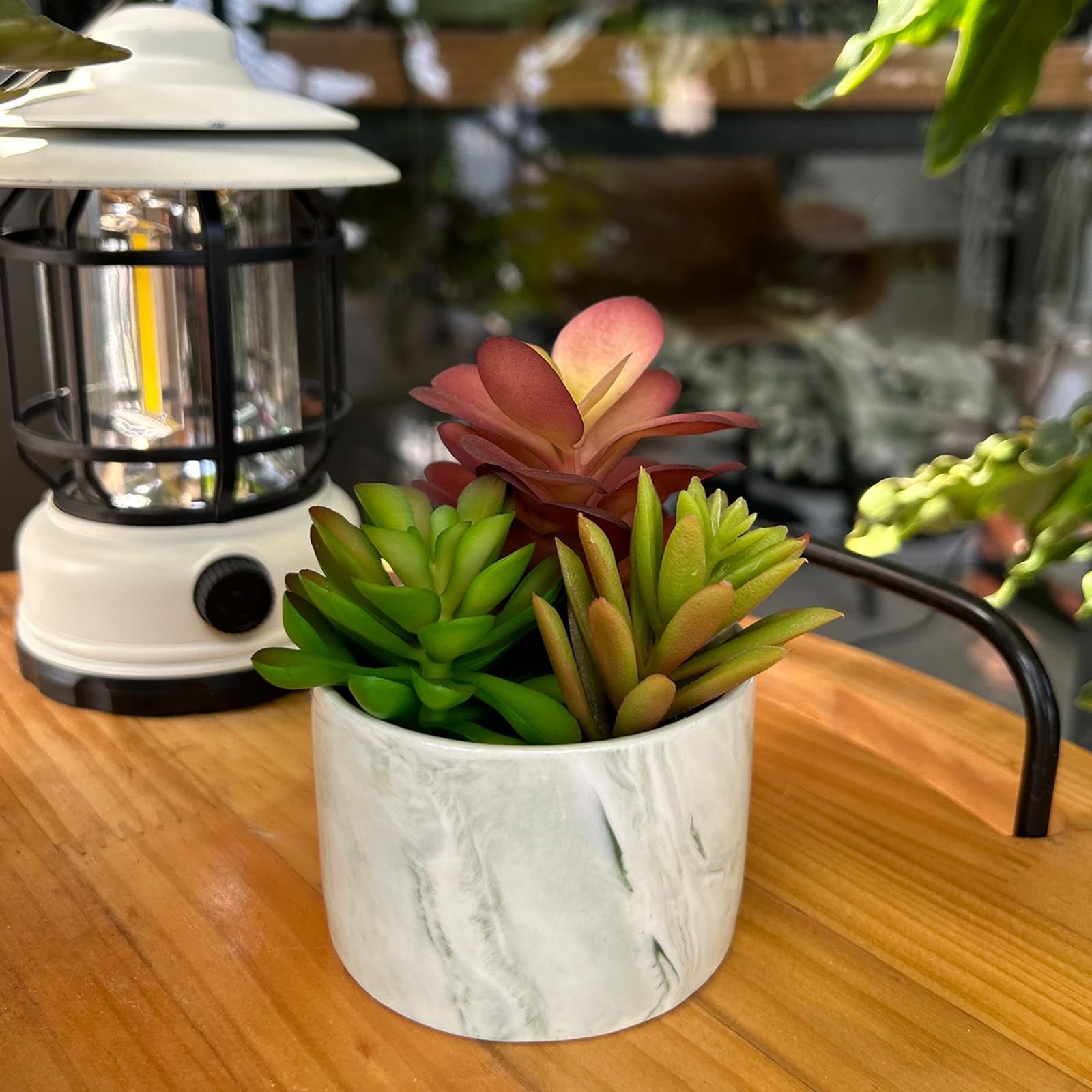 Artificial Plants Cute Colourful Succulents in Ceramic Planter Fake Plant Flower