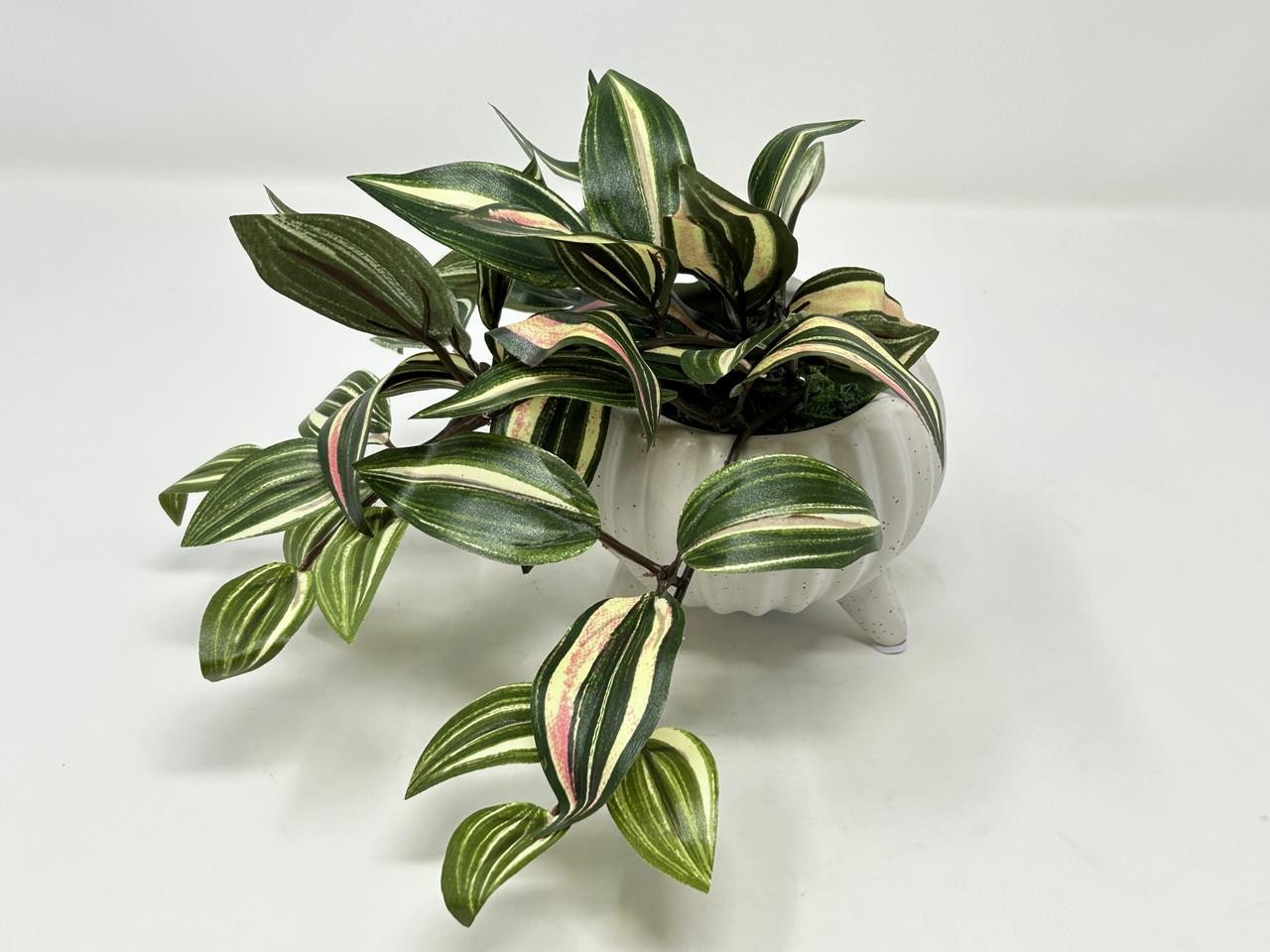 6″ Small PINK JEW faux Silk INCH plant potted in Matte Dot White Ceramic Pot, ha