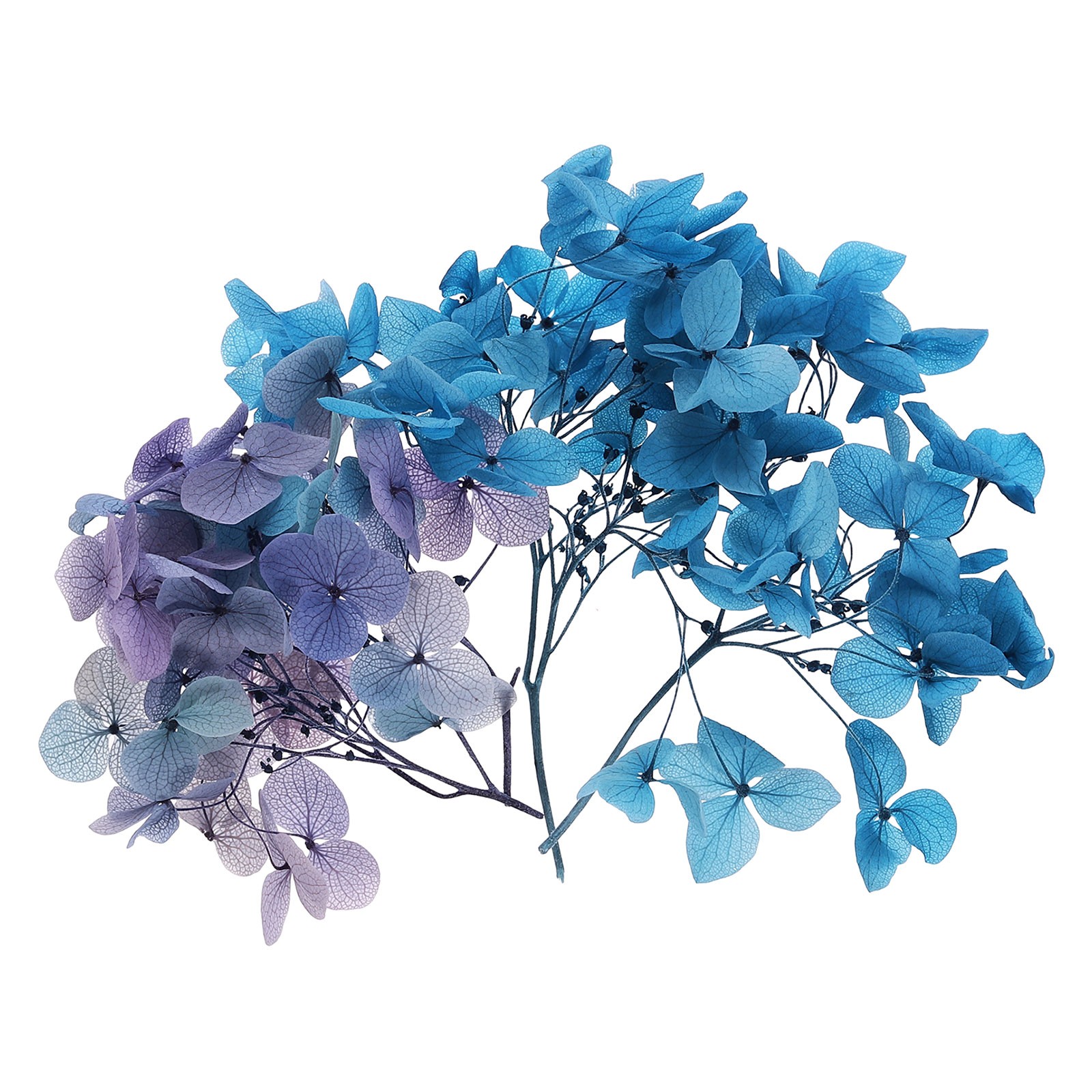 10g Mini Dried Hydrangea Flower Natural Pressed Flower Gradient Blue