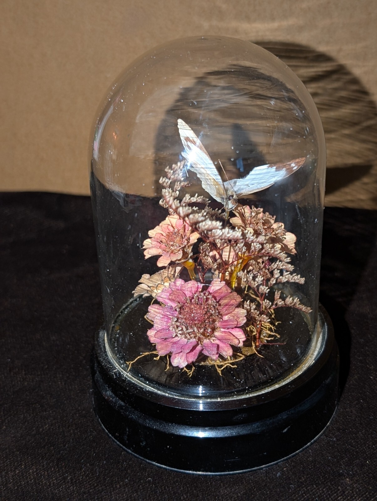 Vintage Glass Dome Butterfly and Flower Arrangement 5in Tall
