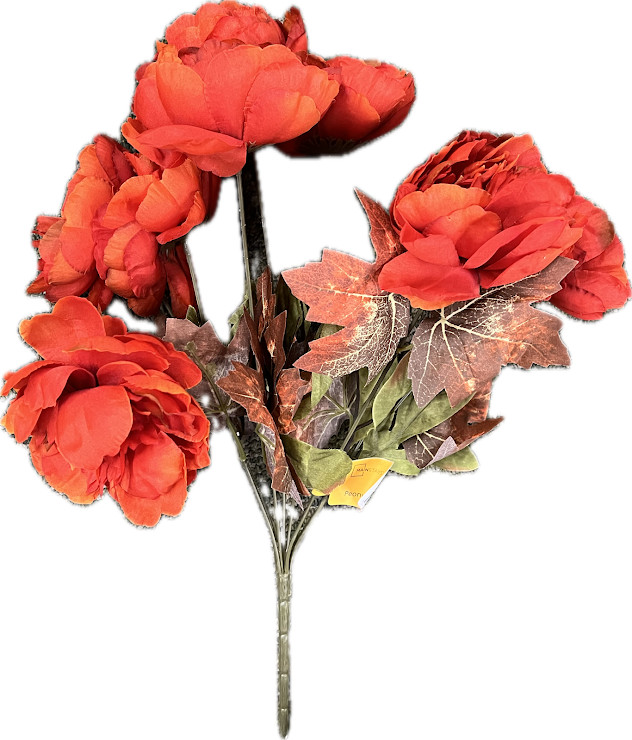 Mainstays Fall Feature Dark Orange Peony Bush 16″