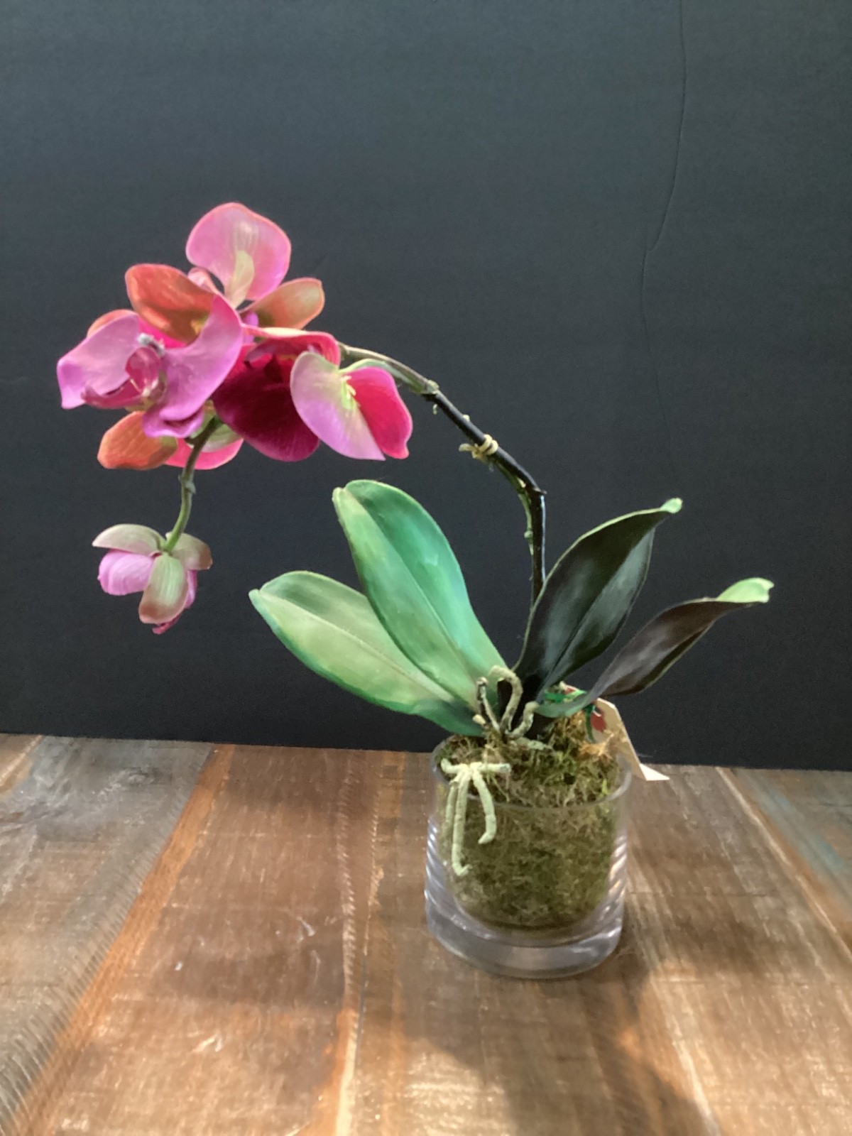 Realistic Artificial phalaenopsis Orchid plant in clear glass vase w/green moss