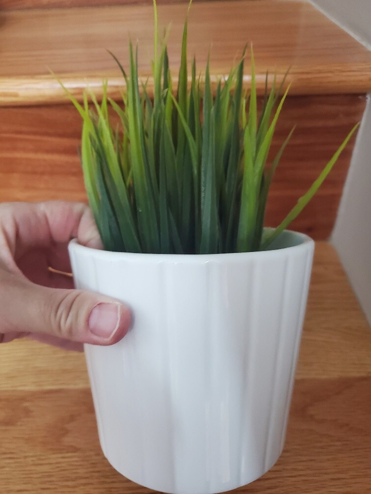 IKEA FEJKA Artificial Potted Plant + IKEA Cardemumma White Ceramic Pot 5″ x 4.5″