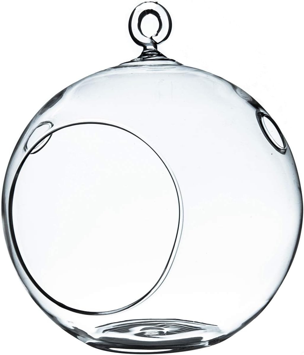 Elegant DIY Hanging Terrarium Globe – 6″ Glass Vase for Indoor or Outdoor Decor