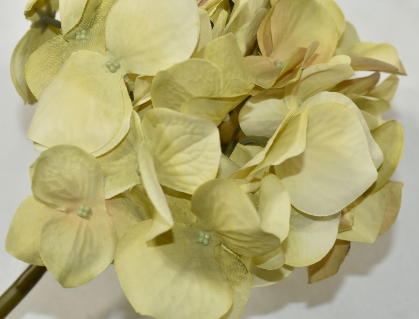 Pottery Barn Faux Hydrangea Ivory Branch Artificial Flower 26″ Stem NEW NOS