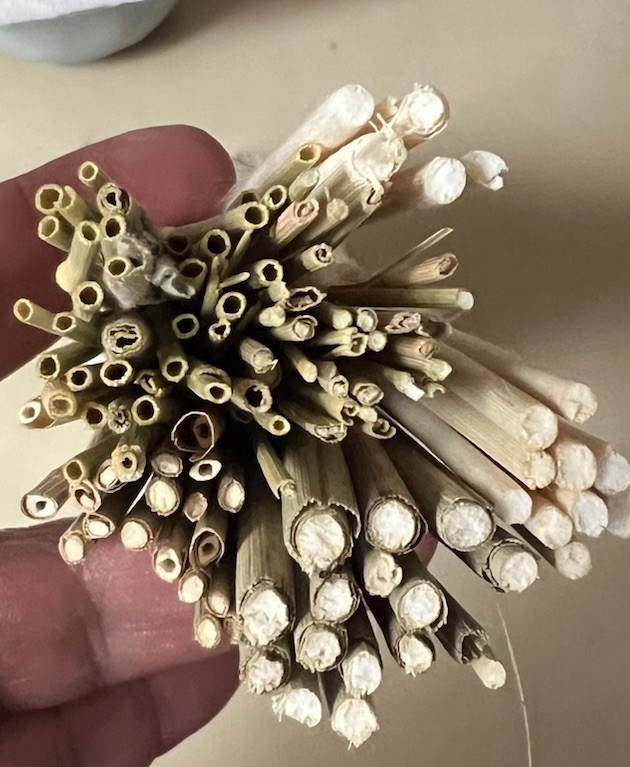 80PCS Natural Dried Pampas Grass Decor – 17.5″ Fluffy Pampas Grass Bouquet -…