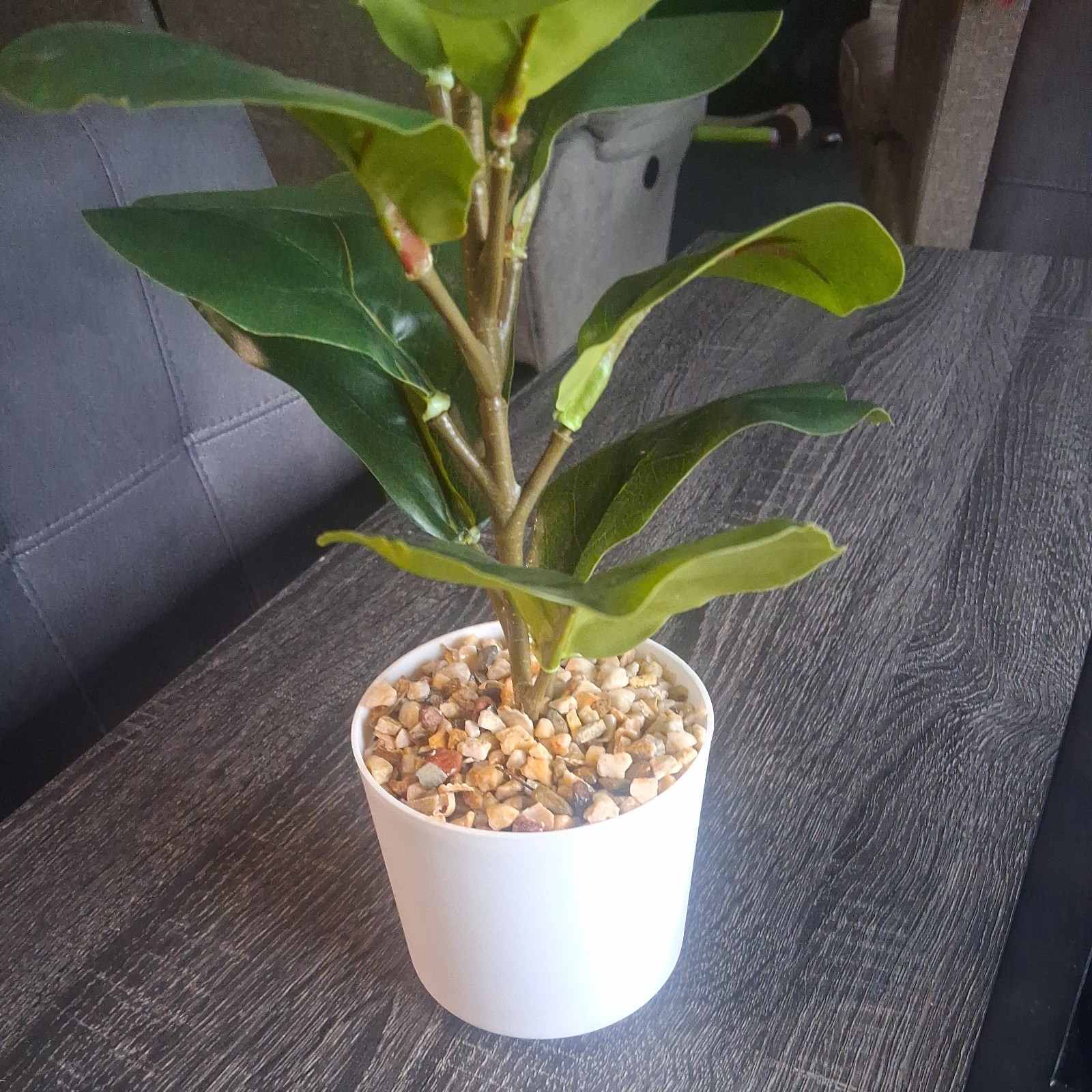 Sedlav Fiddle Leaf Pot 12 Inch Tall Artificial Fiddle Leaf By Mainstays