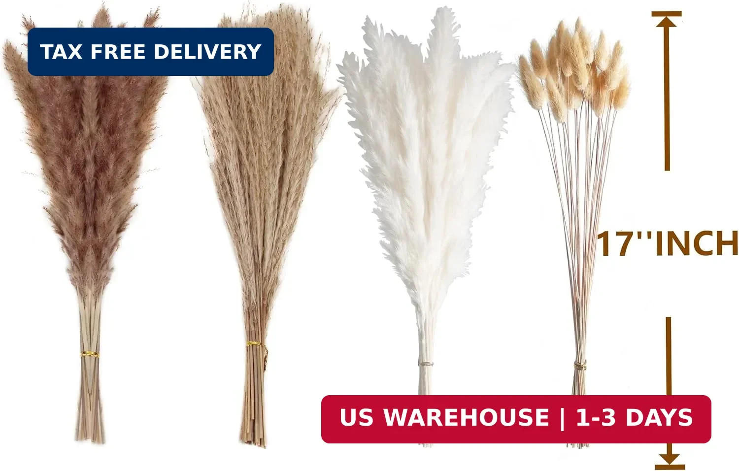 100 PCS Small Boho Pampas Grass, 17″ Naturally Dried Pompas, Pampas Grass Decor