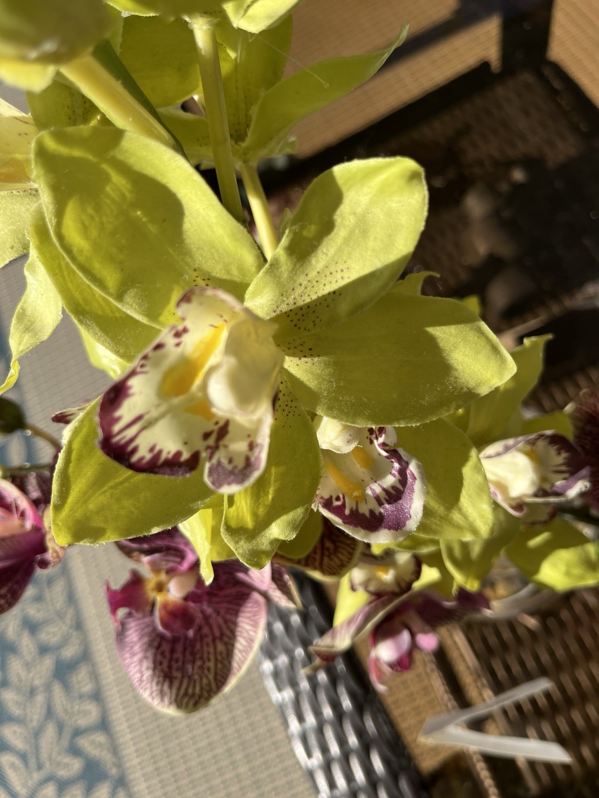 Uttermost – Gorgeous Faux Orchids ***PAIR 18” Tall 12” Tall TWO for Price ONE!