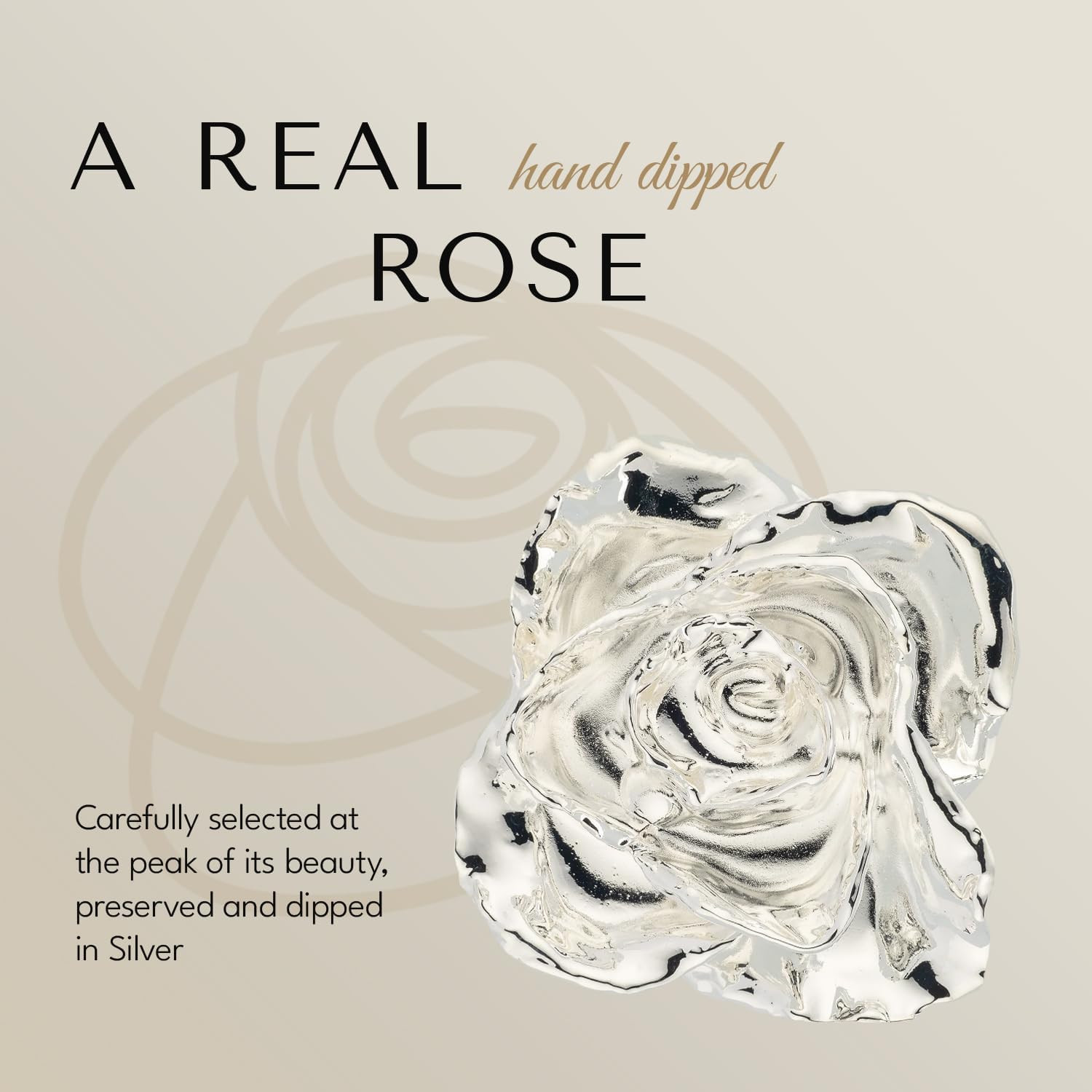 Everlasting Silver Dipped Rose – Unique Gift for Anniversaries & Valentine’s Day