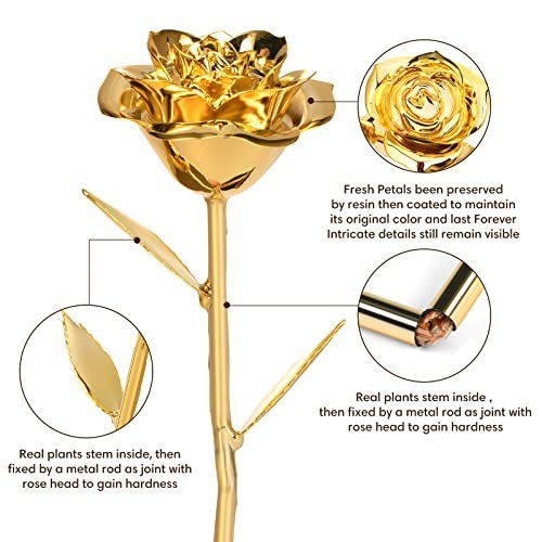 Gold Dipped Rose Real 24K Preserved Rose Hand Dipped Romantic Gift for Her