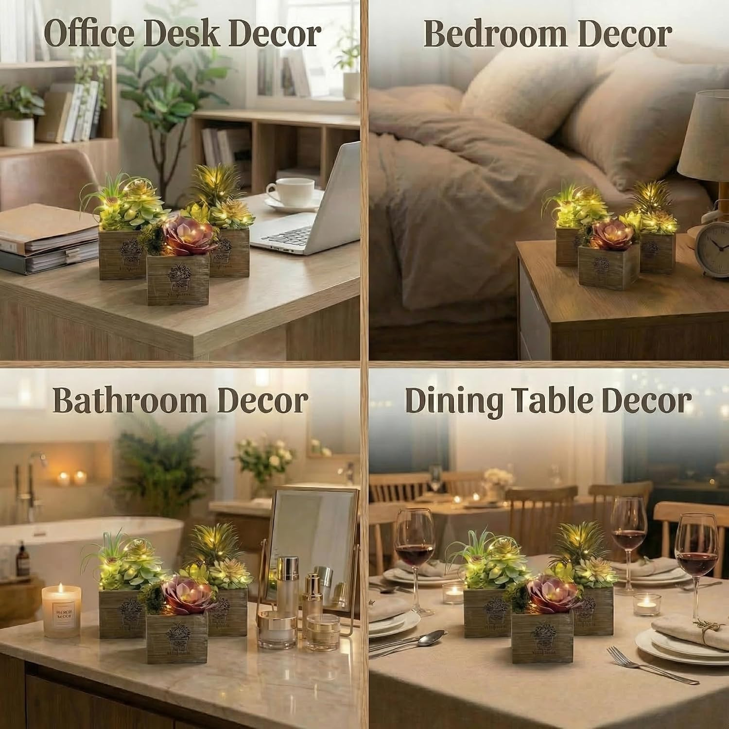 Mini Succulent Plants with LED Lights – 3 Pack for Home & Office Decor