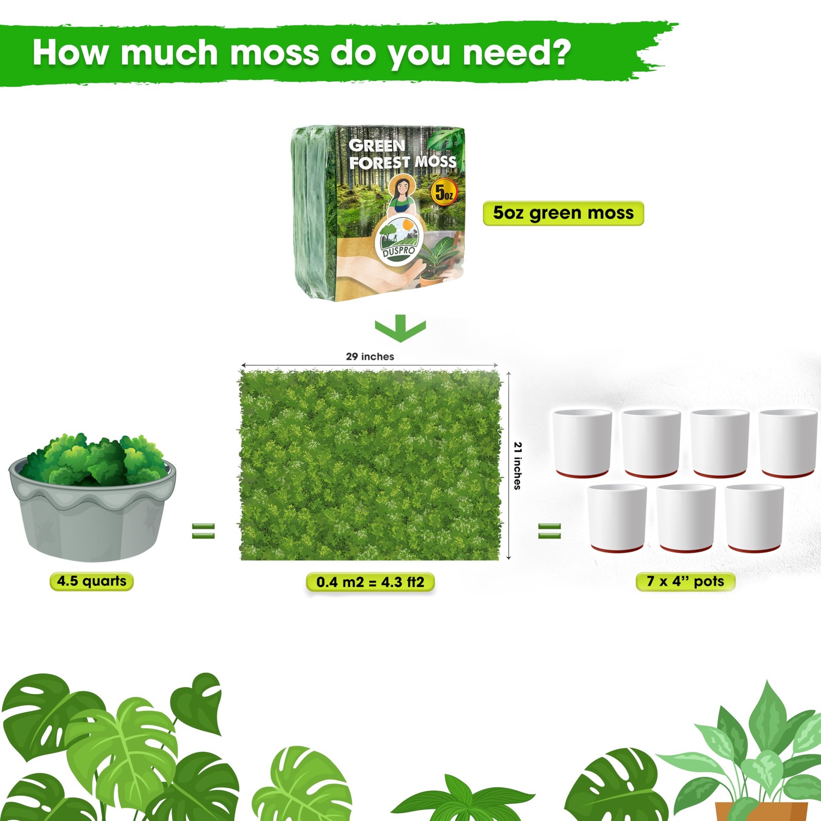 [Upgraded] Green Moss for Crafts, Real Forest Moss Potted Plants, Decorative …