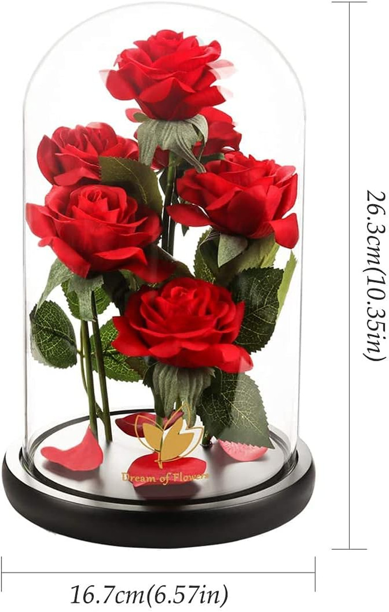 Mothers Day Rose Gifts for Women,Beauty and Beast Rose in Glass Dome with LED Li