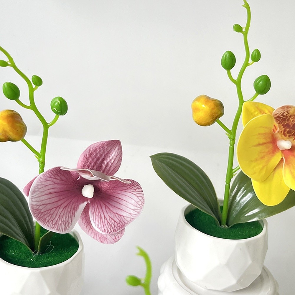 Phalaenopsis Floral Reproduction in Diamond Designed Pot for Contemporary Space