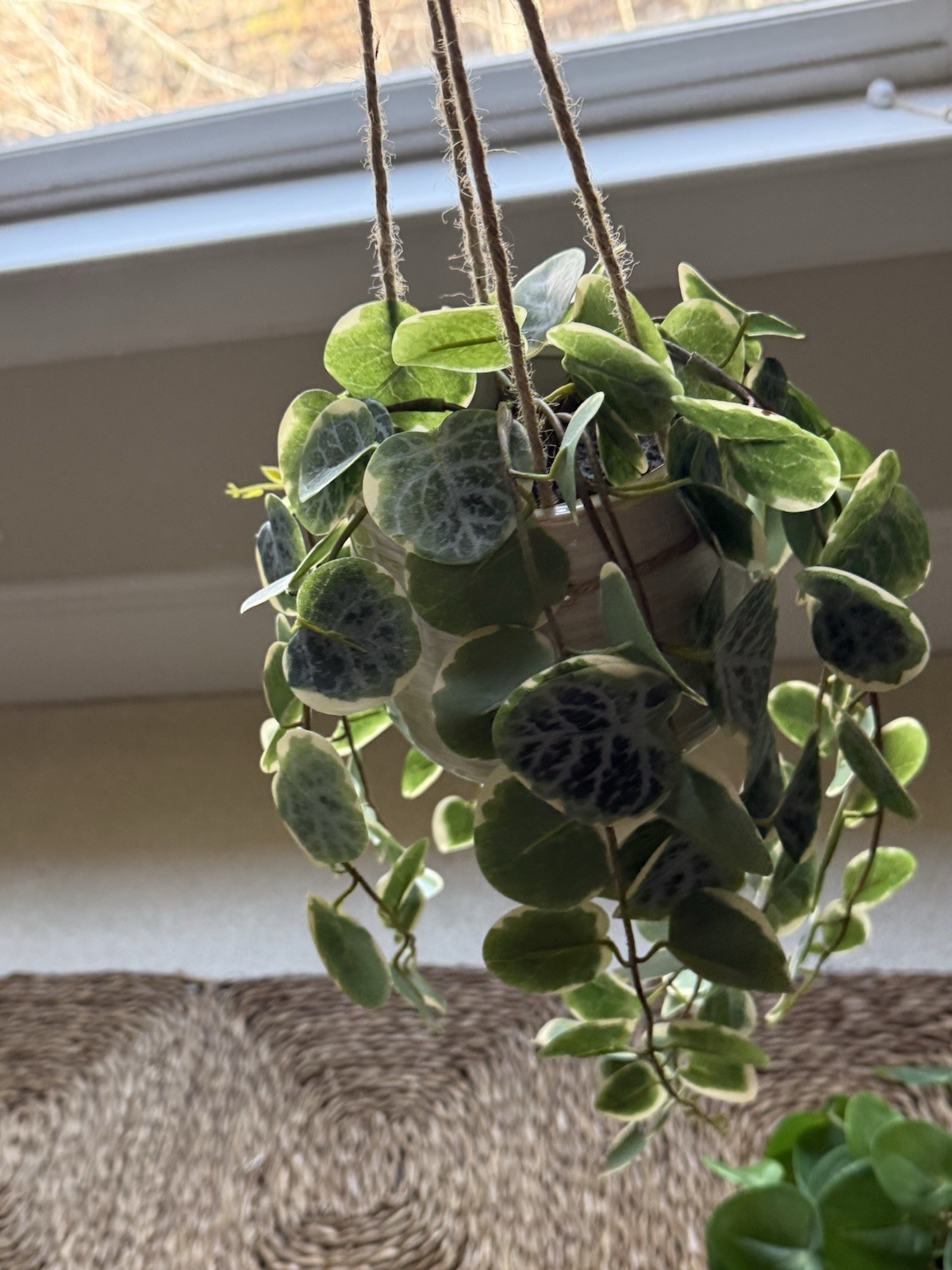 Green Trailing Hanging Faux Plants Set – Hearth & Hand Decorative Home Accent