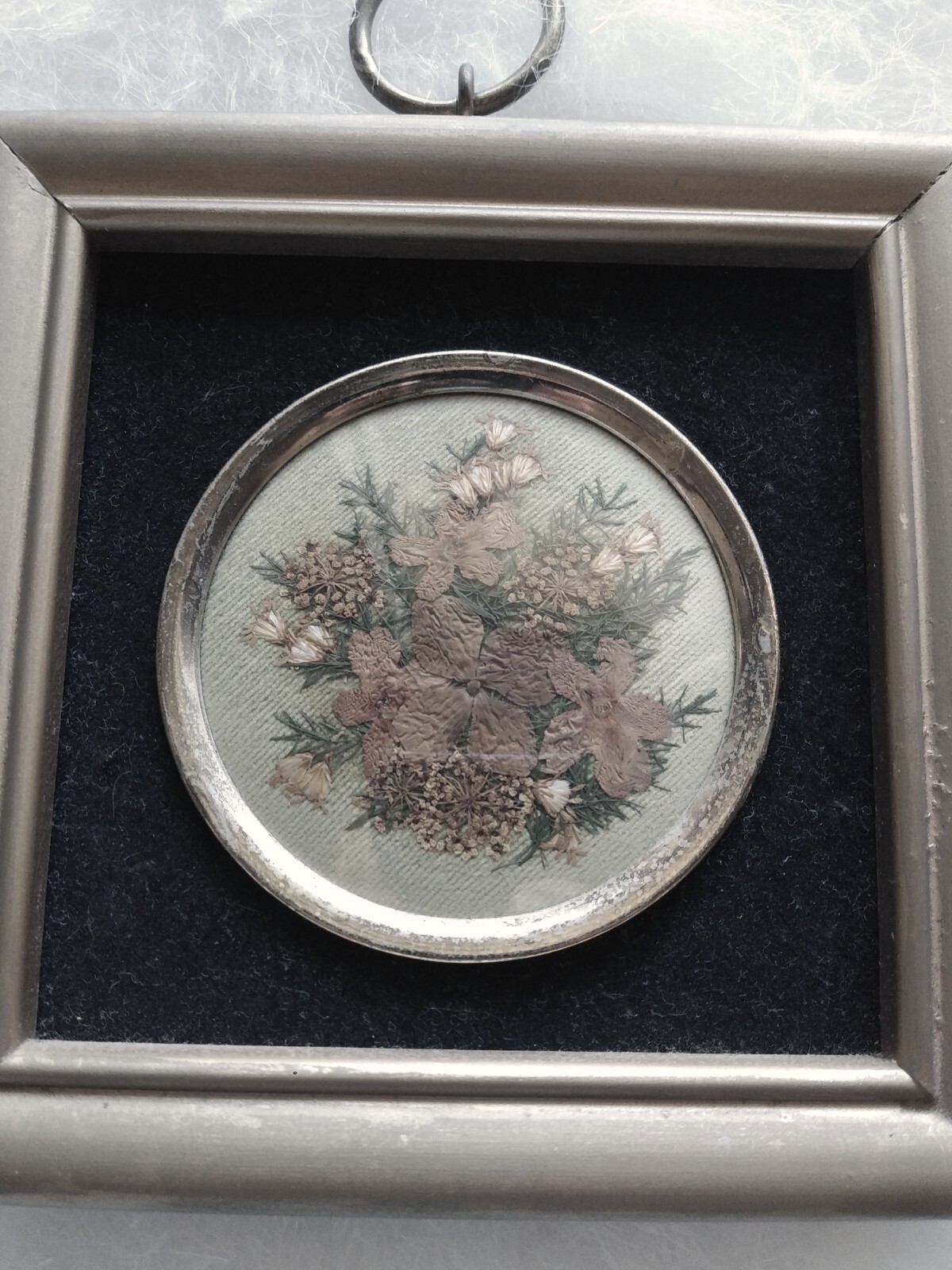 Miniature Hopkins Designs framed Real Pressed Virginia Flowers Velvet Vintage