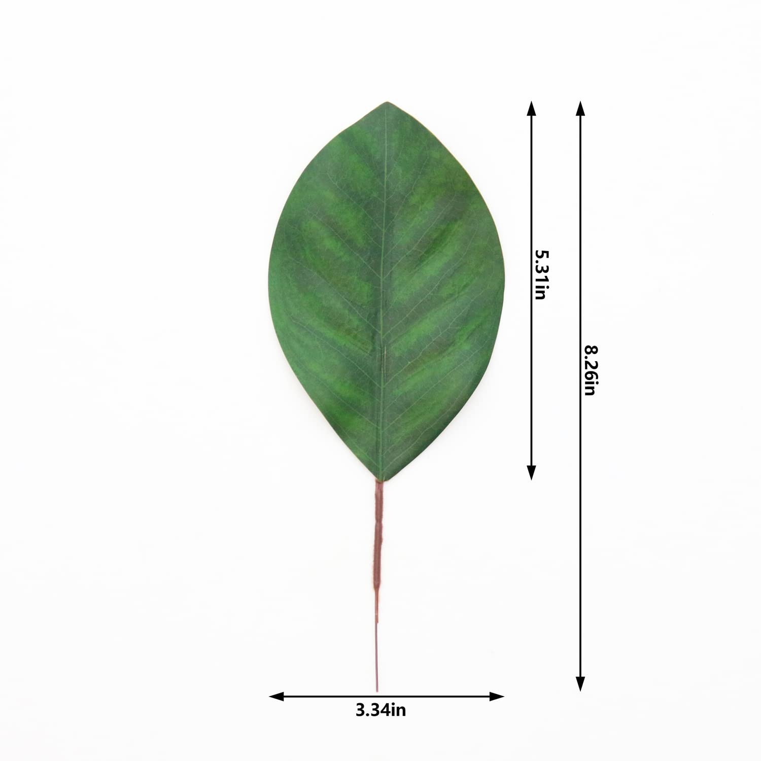 Artificial Green Magnolia Leaves Pack of 40 for Wedding Decor, Home Decor, In…