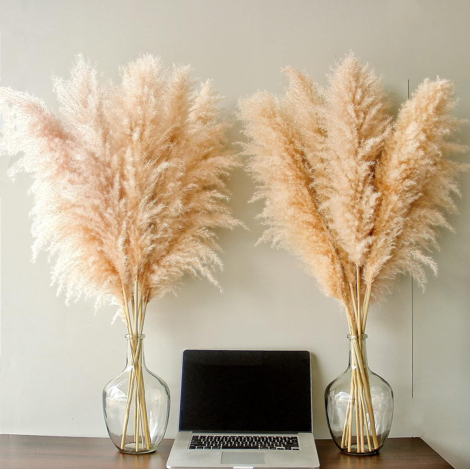 40″ Inch 10 Stems Natural Pampas Grass Decor Tall, Pompas Grass, Tall Pampas Gra