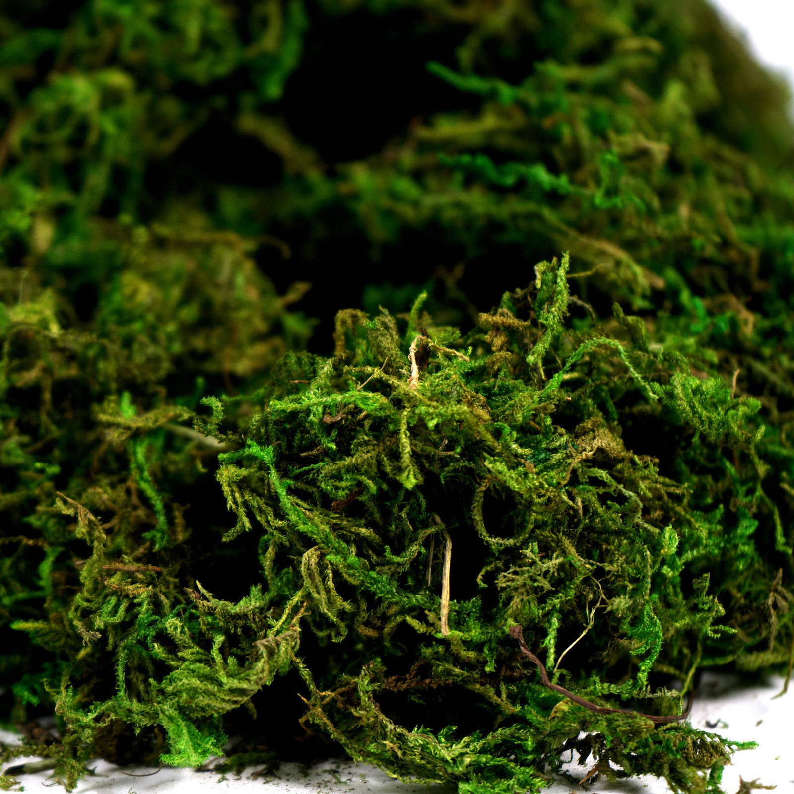 Artificial Moss Fake Green Grass for Centerpieces Home Kitchen Garden Decor (…