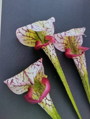 23″ ARTIFICIAL Pitcher Plant Stems real touch three stems