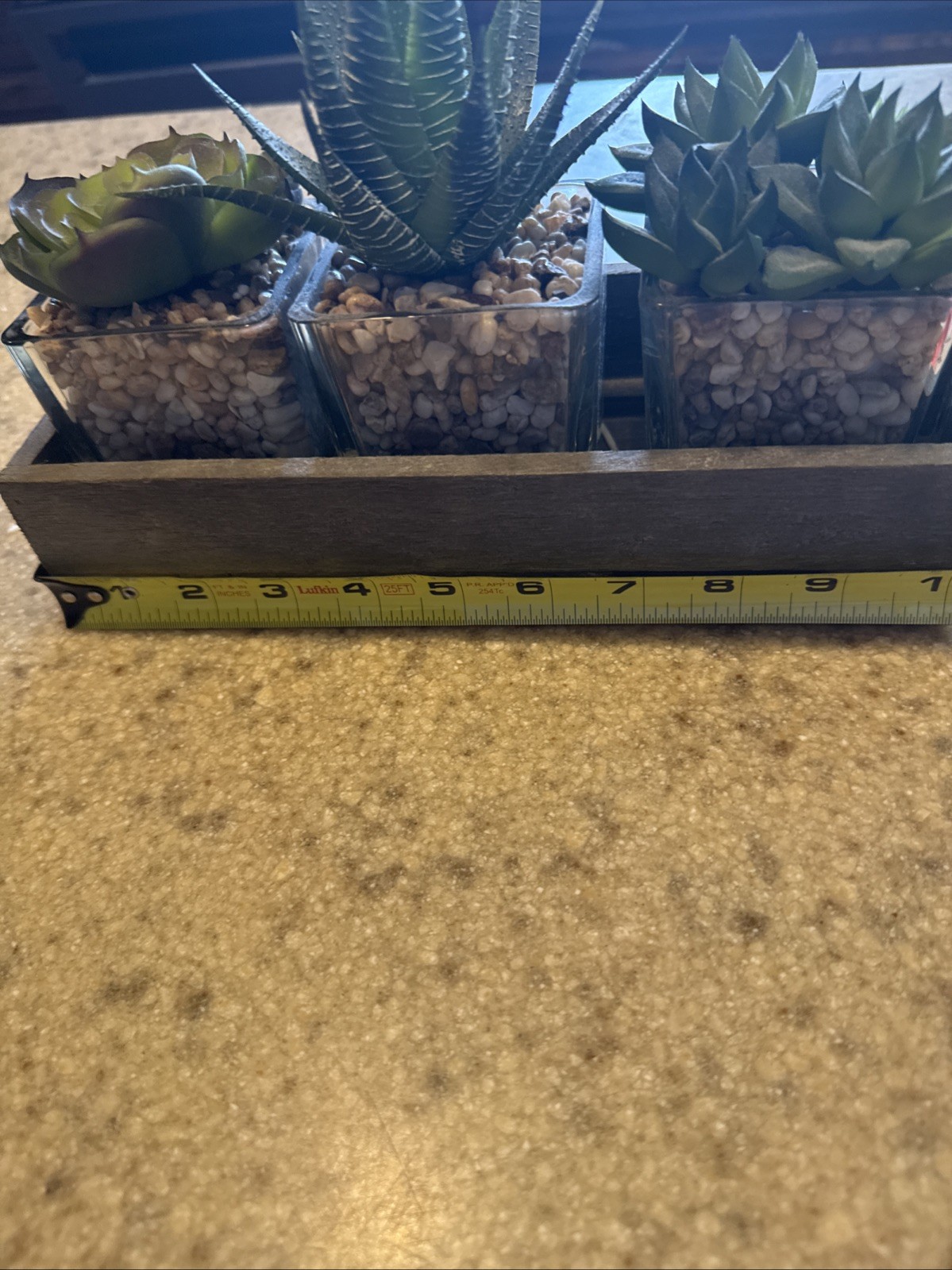 Artificial Succulents In Three Glass Containers Glued In Wooden Box