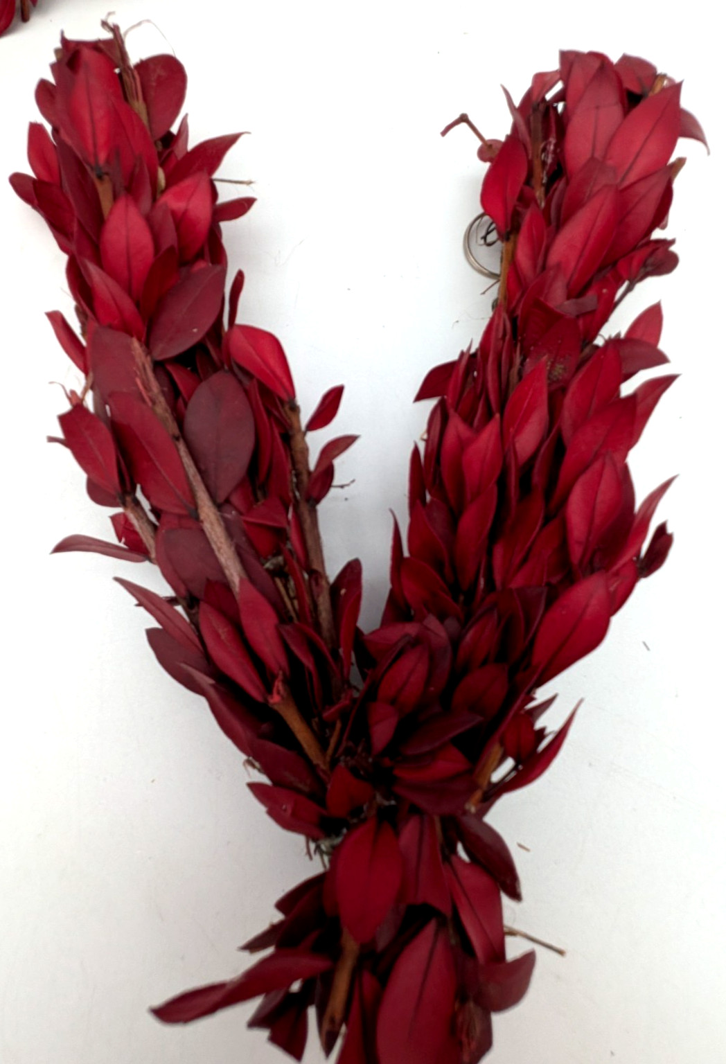 Preserved Myrtle Branches Letters Of Love Hooks To Hang Wall Decor