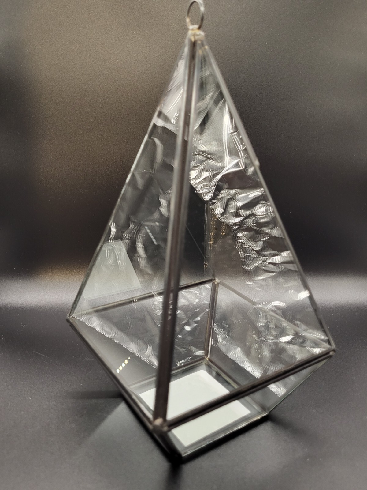 Ashland Black Metal And Glass Hanging Terrarium