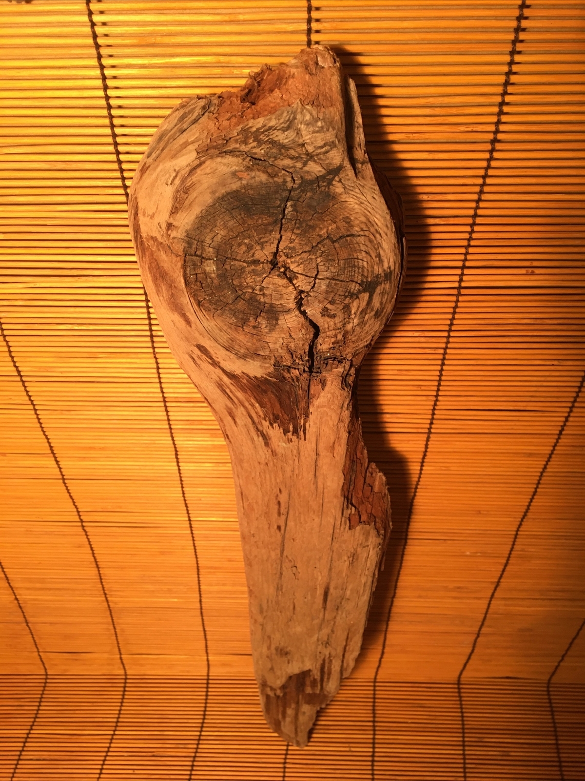 Beautiful 21” DRIFTWOOD Piece Terrarium Aquascape Floral Decor Crafts Art