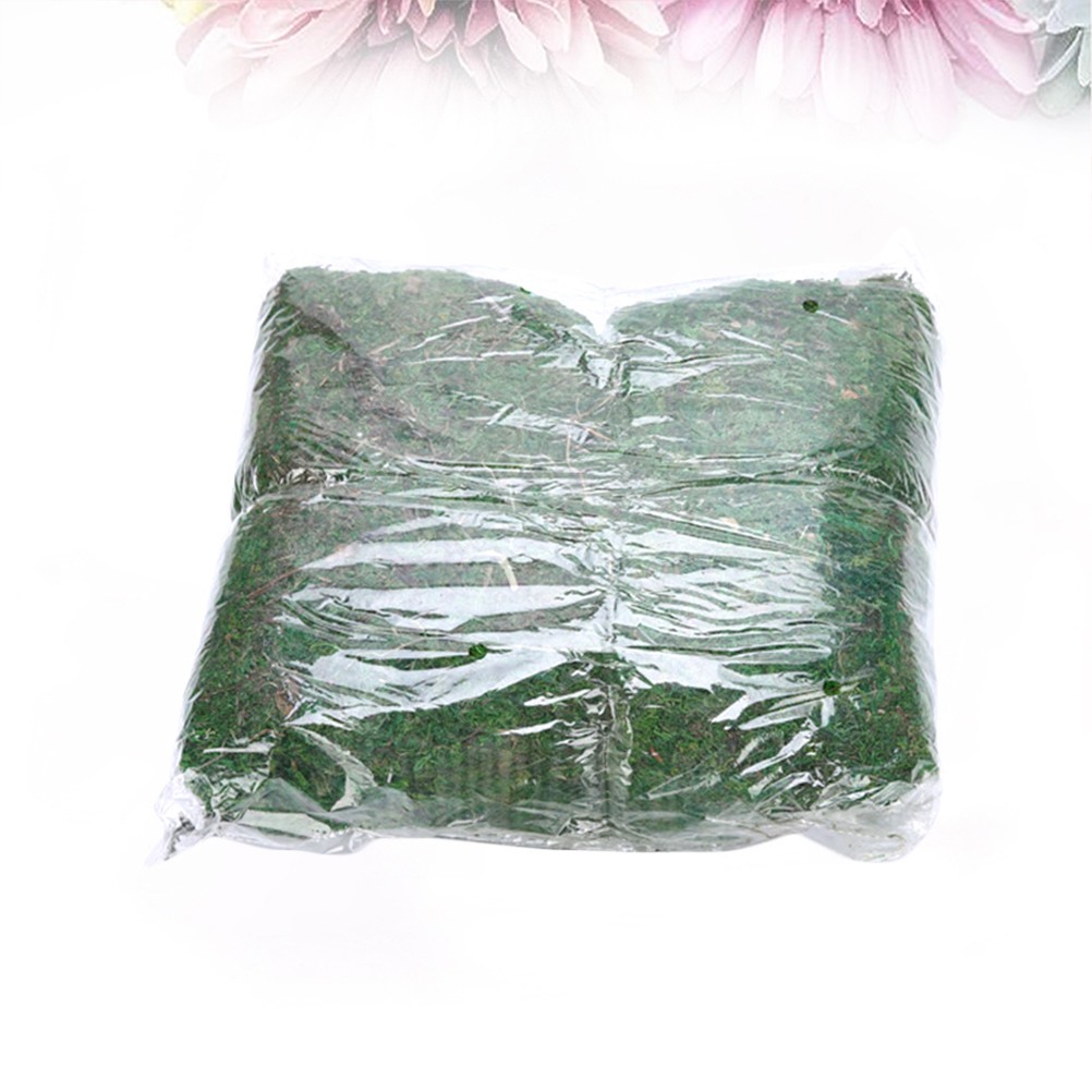 5 Packs Durable Lifelike Moss for DIY Mini Garden House Decoration Green