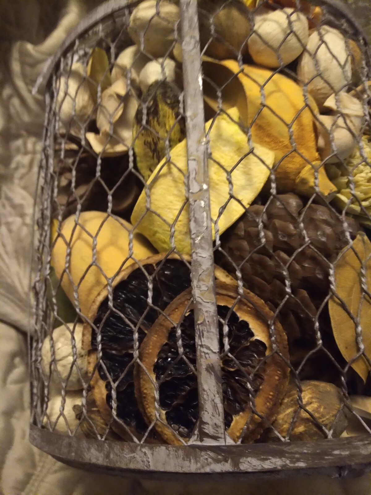 Bird Cage Filled With Gourds, Nuts, Pinecones, Dried Fruit, Twin Balls, Flowers