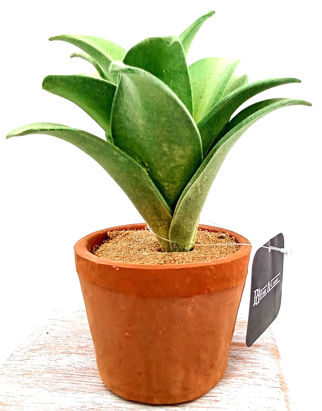 Succulent Clay Pot Planter Artificial Faux Dirt Foam Plastic Green Floral 7×2.5″
