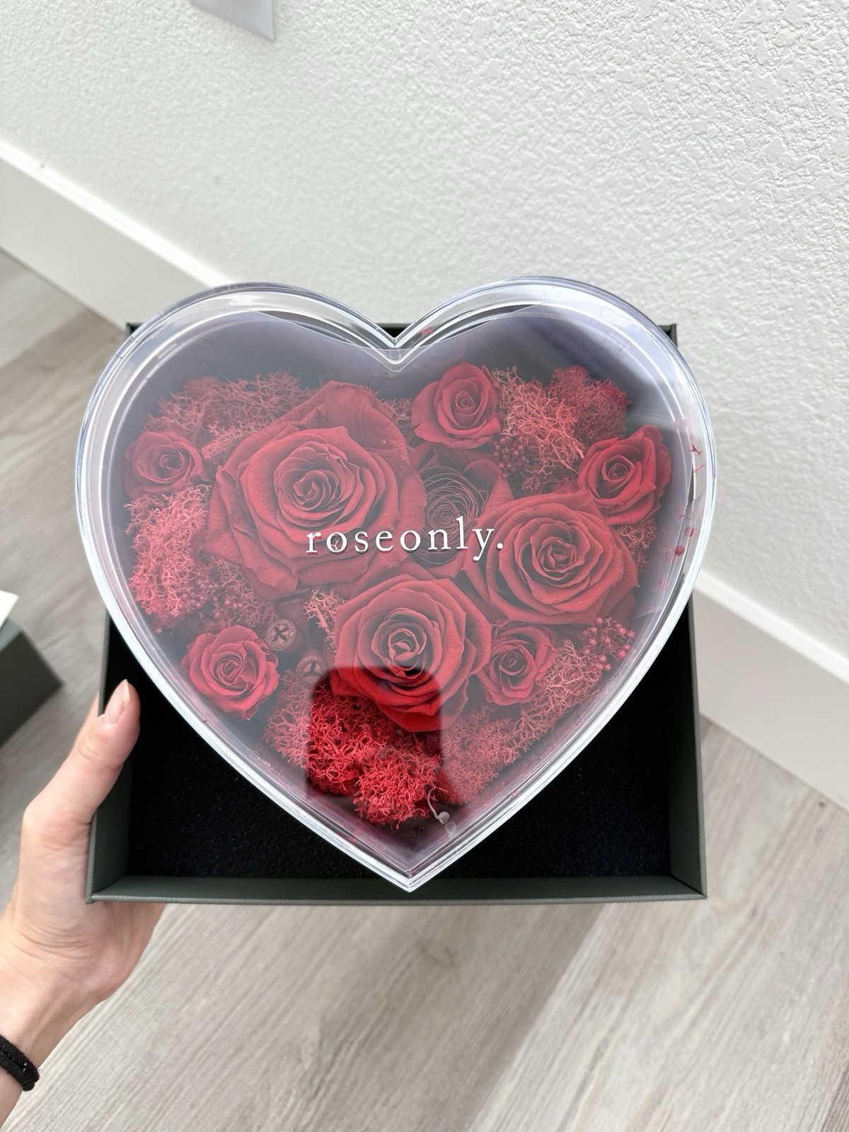 Red Eternity Rose Brand New Valentine Gift