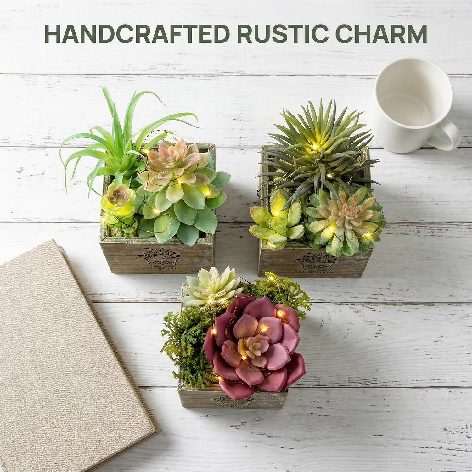 Mini Succulent Plants with LED Lights – 3 Pack for Home & Office Decor