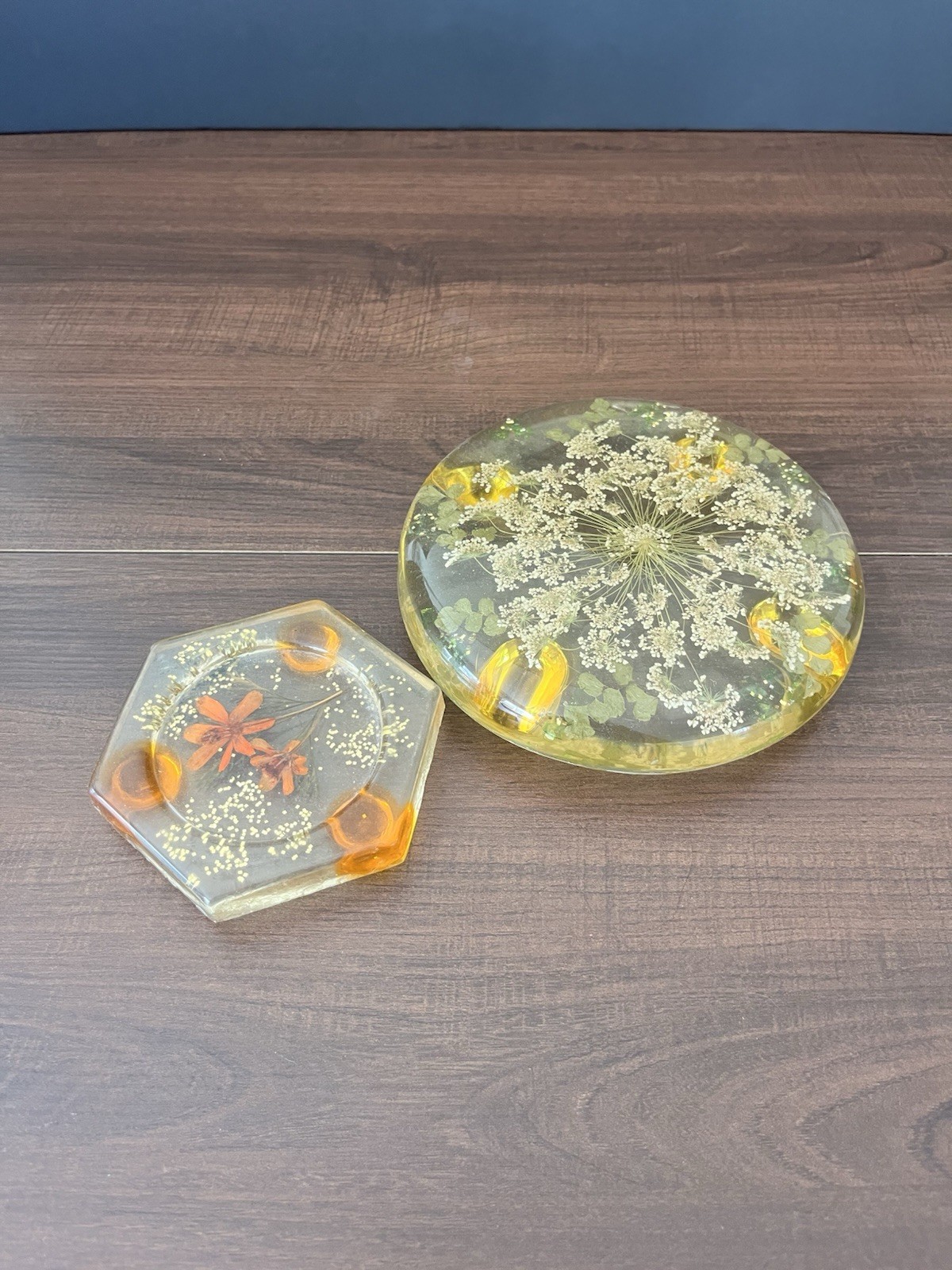 Vtg MCM 70’s retro lucite trivet hot pad Coaster dried pressed flowers Set Of 2