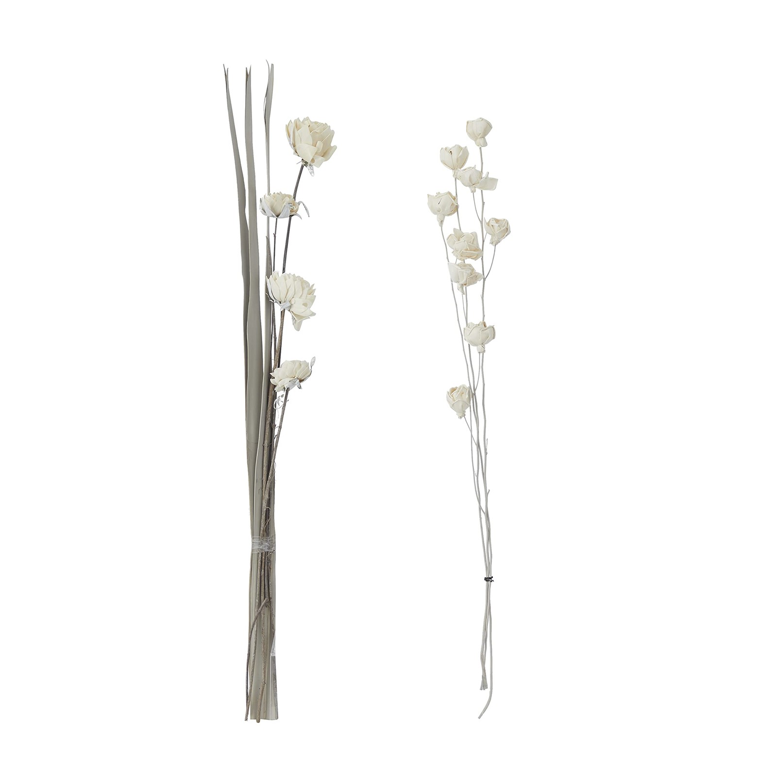 Dried Plant Palm Natural Foliage, Set of 2 5″ W, 38″ H, White