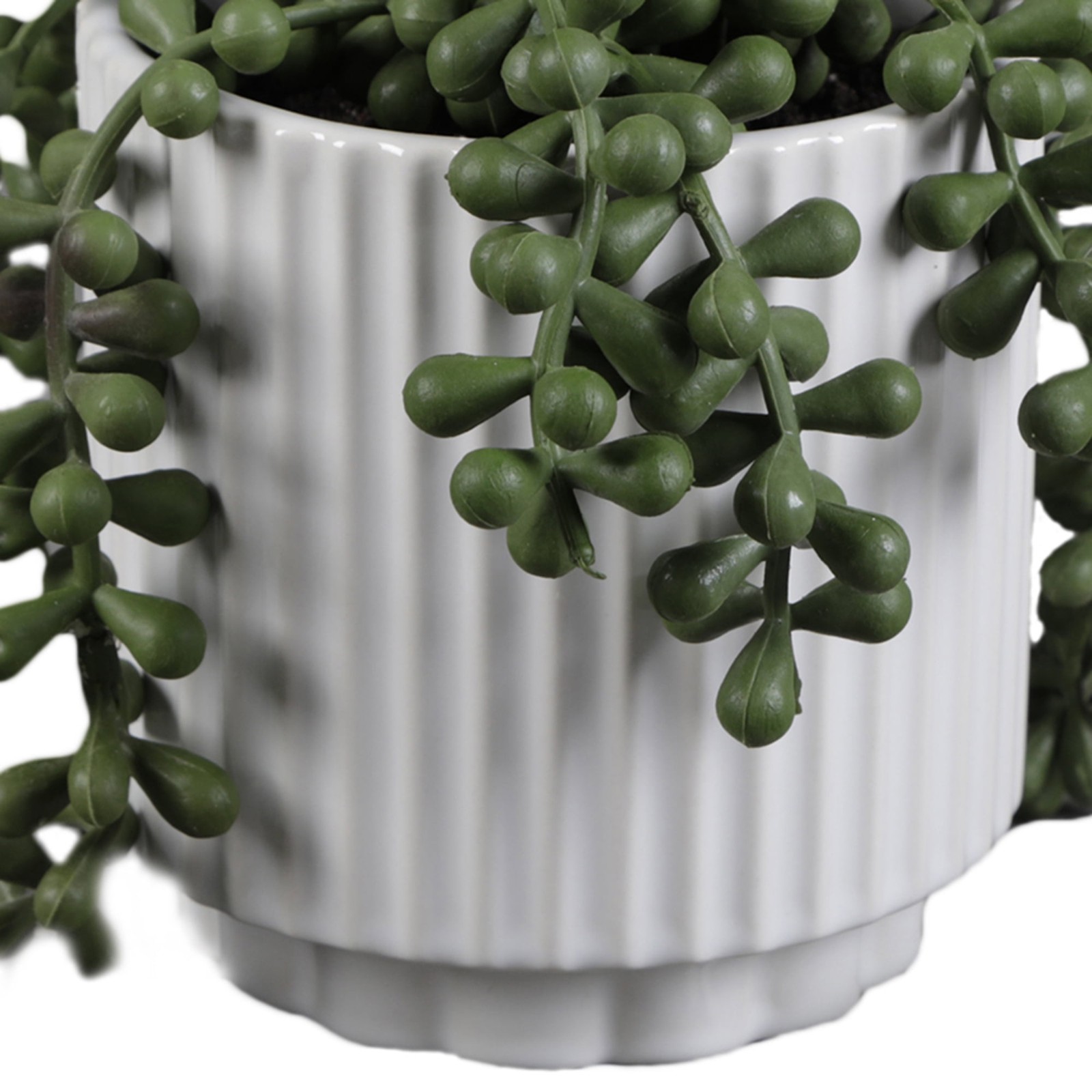 5.38” UV Protected Artificial String of Pearls in White Ceramic Pot Tabletops