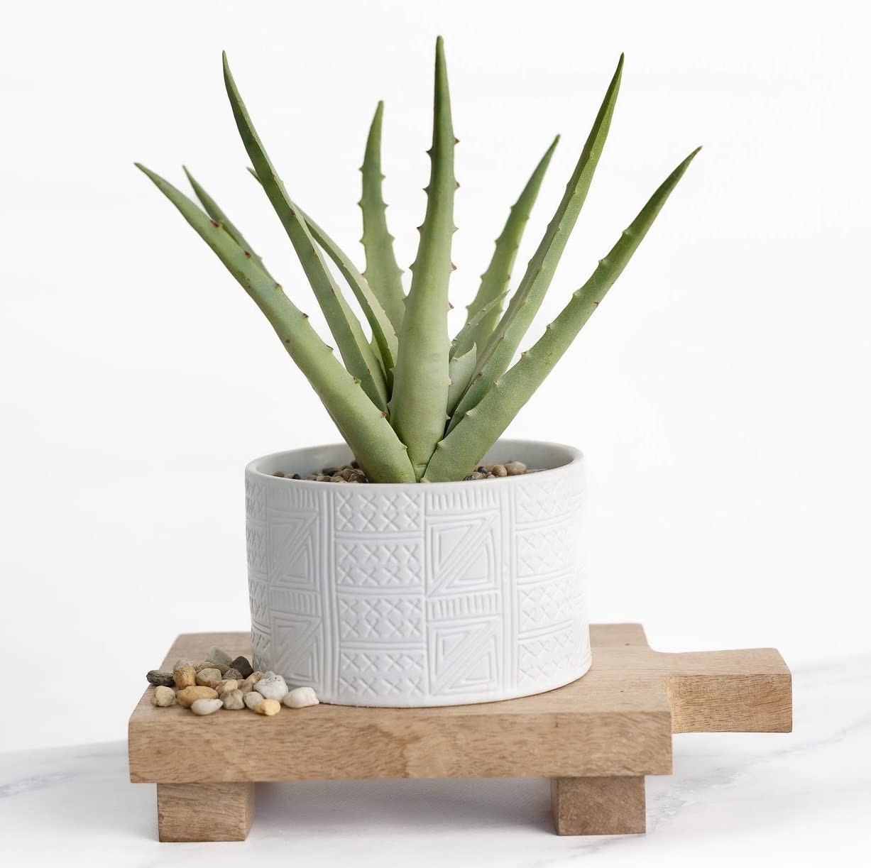 Artificial Plant in White Ceramic Pot | 10″ high sage Green Faux Agave Plant …