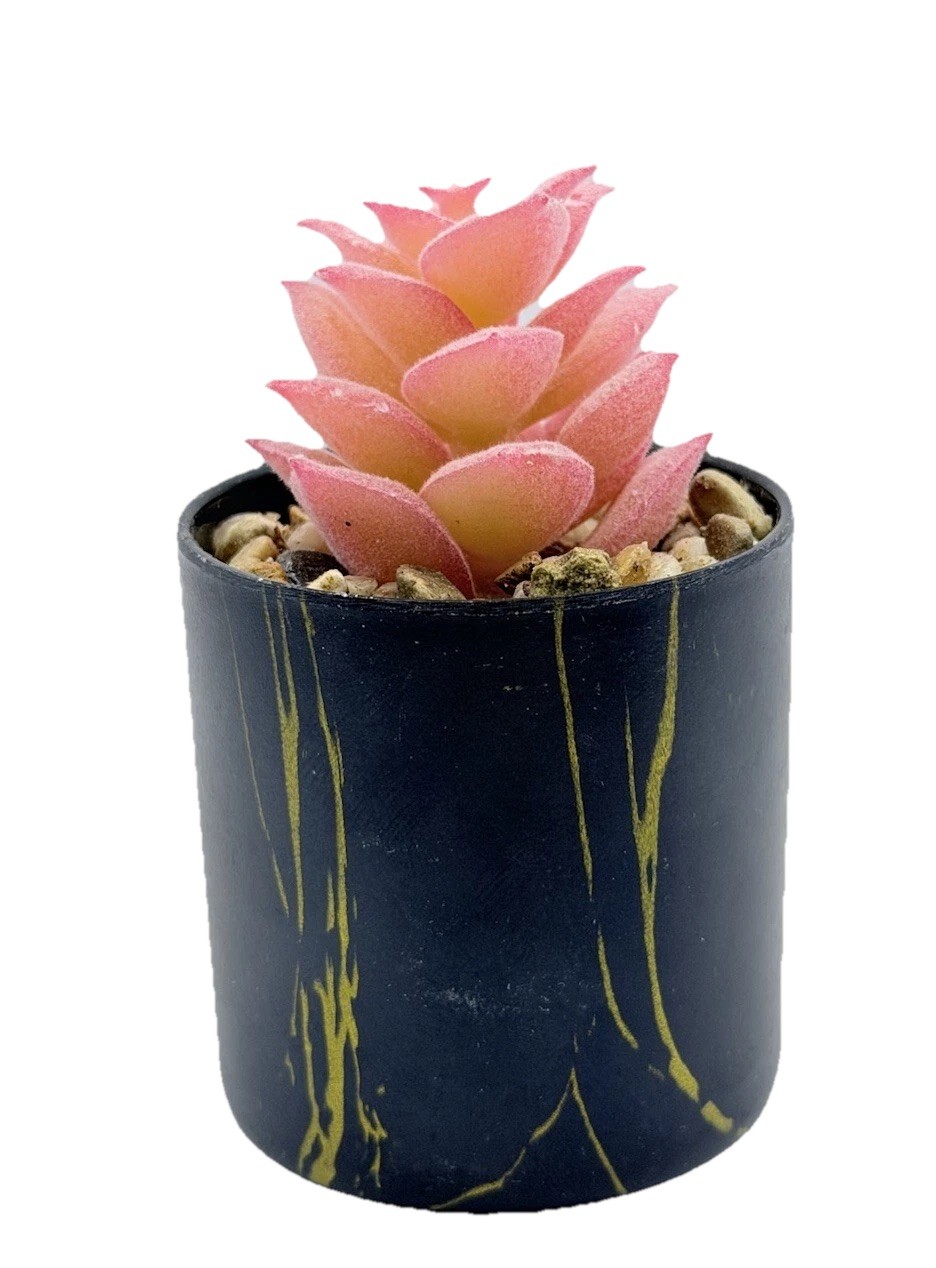 2 pcs Artificial Pink Succulent & Cactus Houseplant, Black Pots 3.5 inch