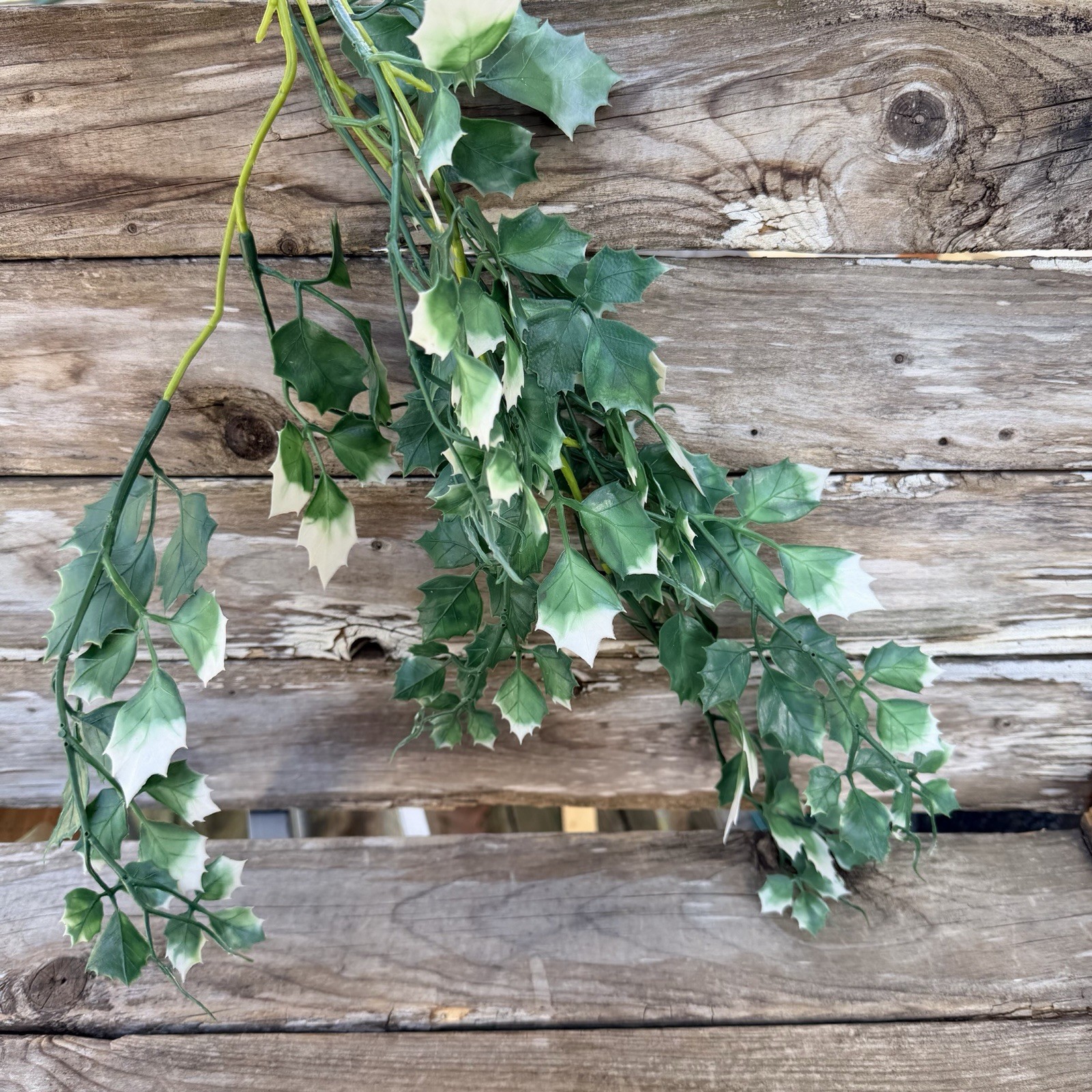 MCM Plastic Houseplant Stem Ivy Lot of 2 Types Faux Plant Tiki Bar Large