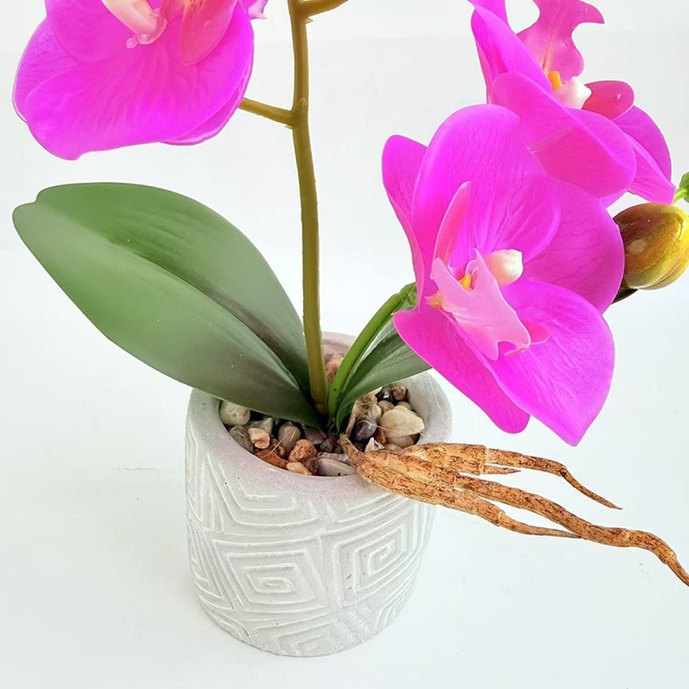 Fake Orchid Flower Plant in Cement Pot for Contemporary For Home Decoration