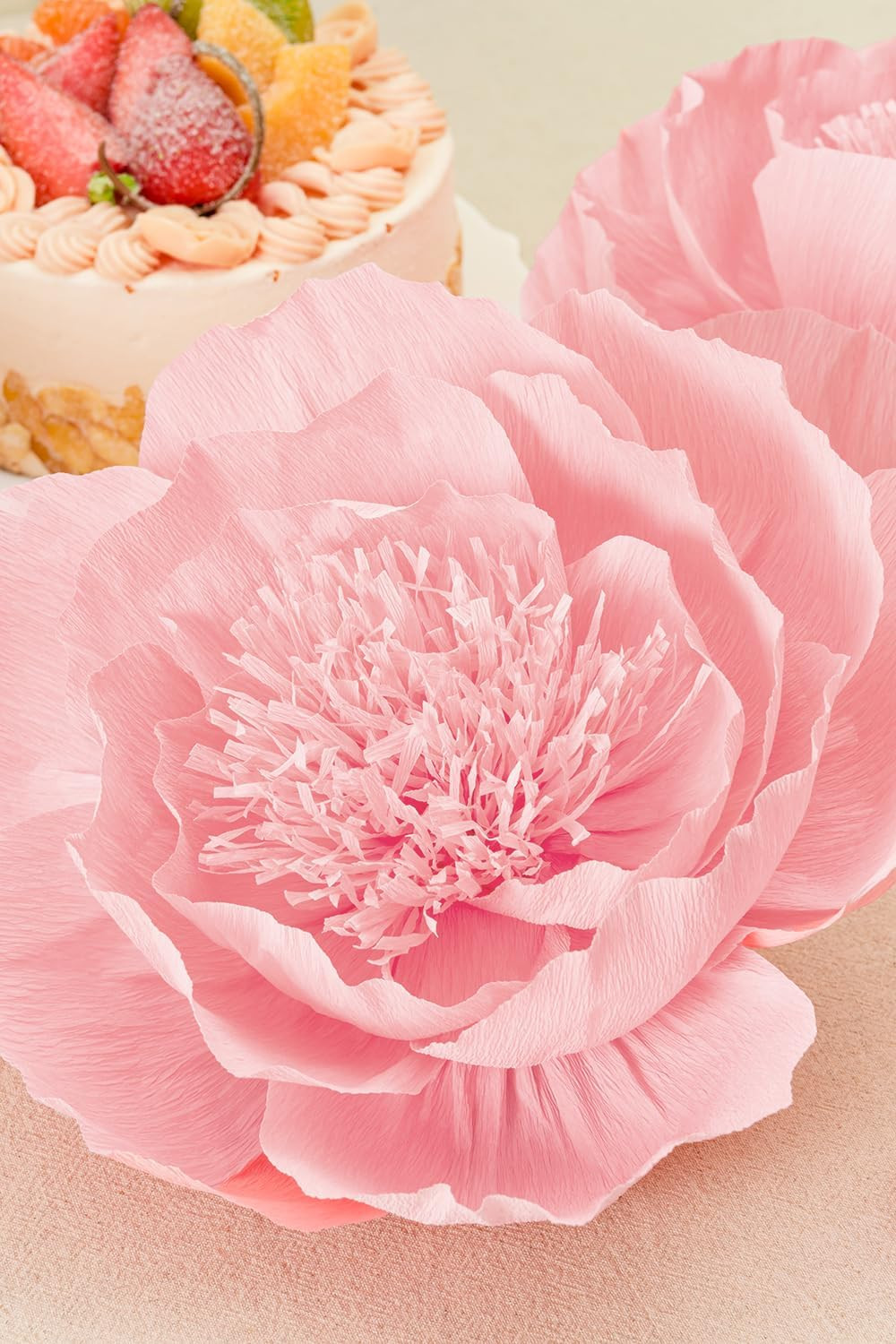 Crepe Paper Flowers Wall Decor Pink Set of 6 Wedding Party Photo Backdrop