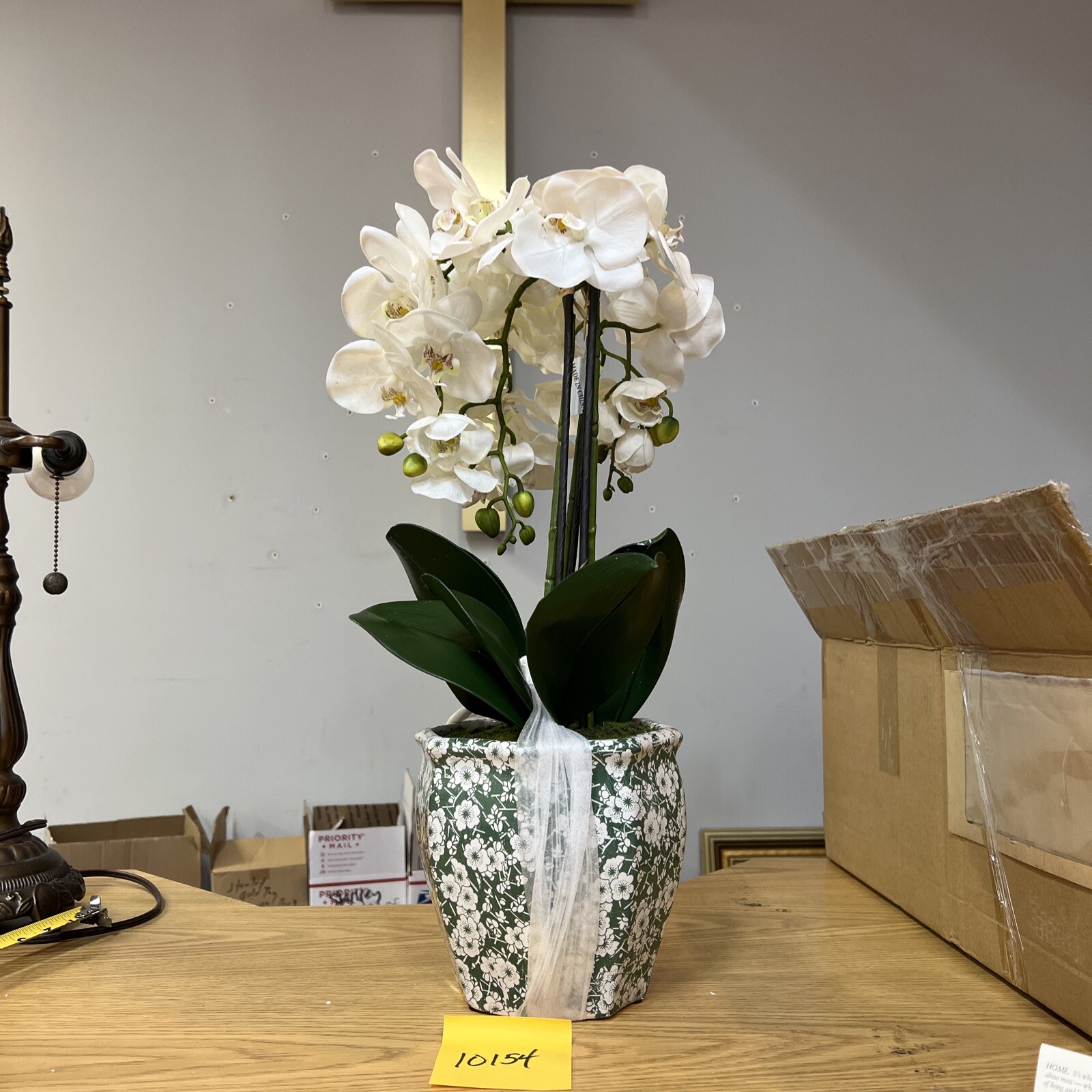 22″ Orchid Green White In Ceramic Pot Planter Valerie Parr Hill