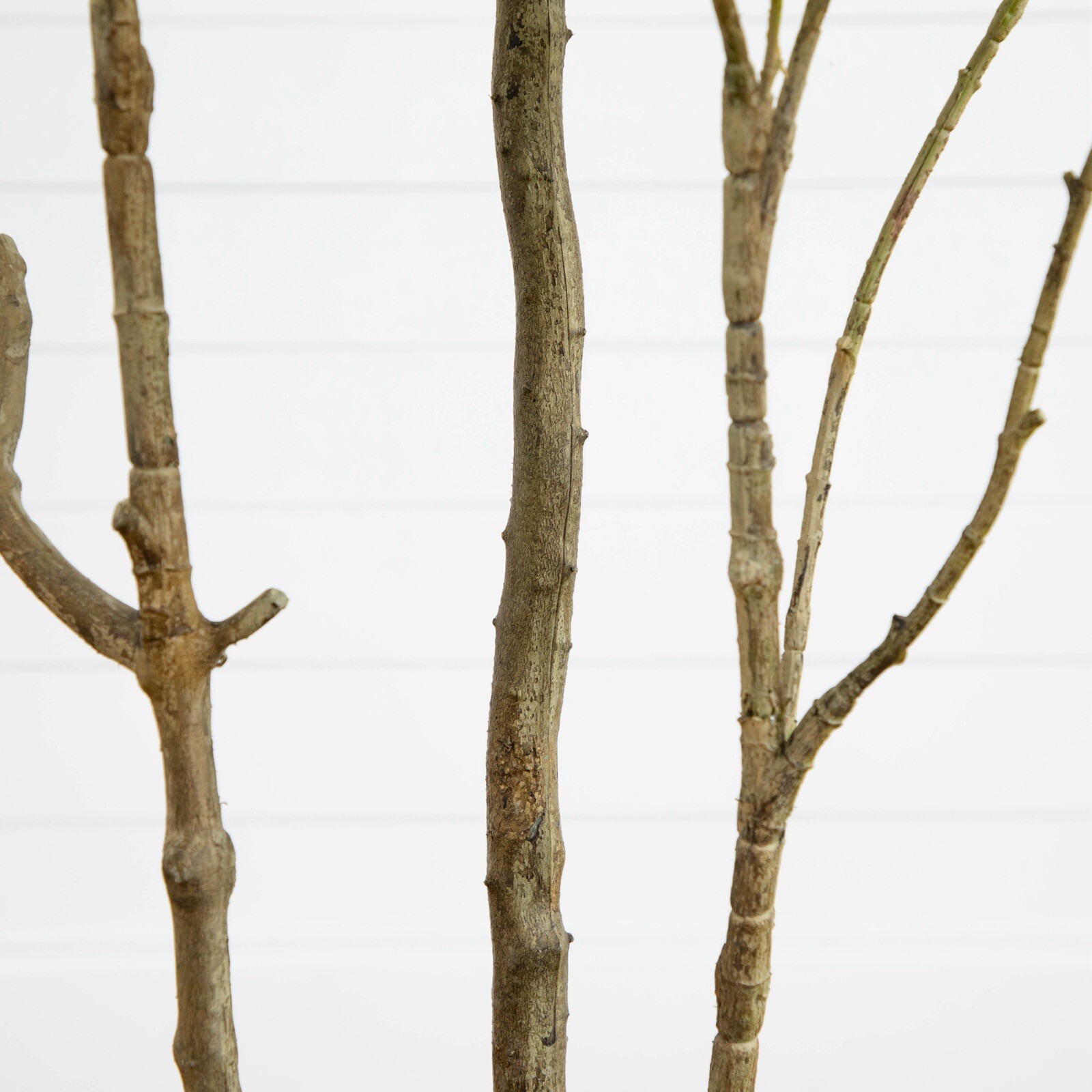 7’ Artificial Minimalist Japanese Pieris Tree w/Real Touch Leaves. Retail $309