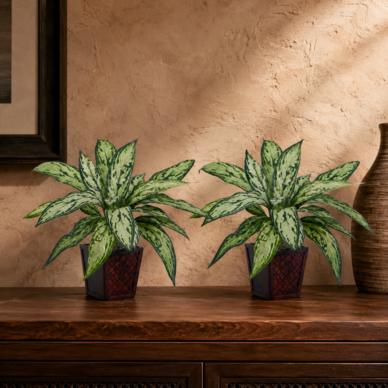 Silver Queen Silk Plant (Set of 2)