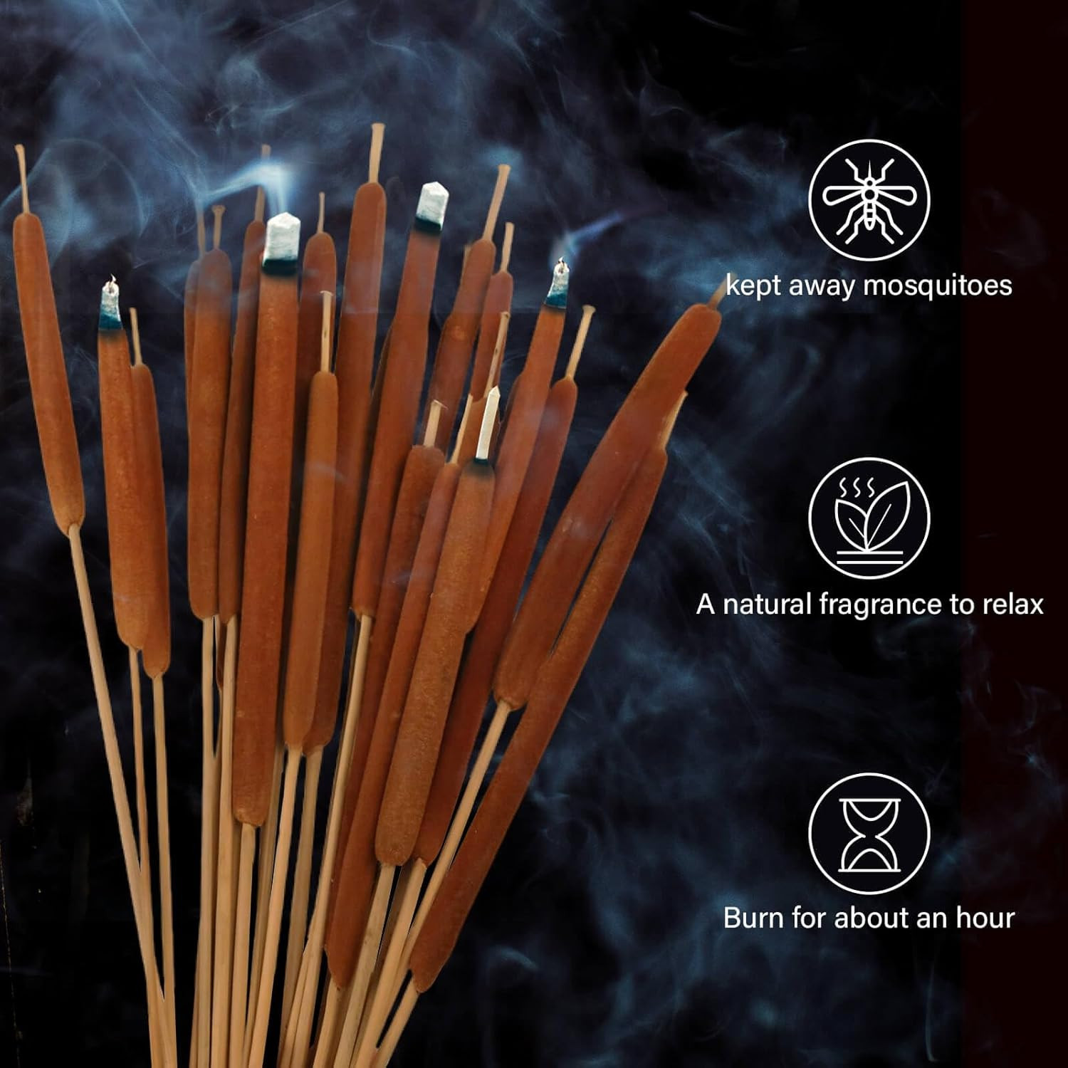 Dried Natural Brown Cattails Flowers – 20PCS Real Broadleaf Pencil Cattail Stems