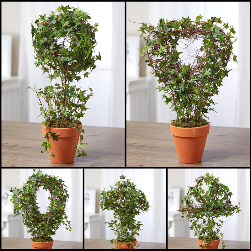 Set of 2 Artificial Climbing Ivy and Grapevine Assorted Potted Plants