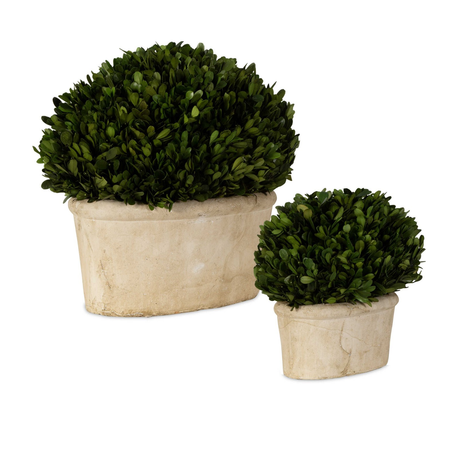 Uttermost 60107 Oval Domes Preserved Boxwood Terracotta Planters – SET OF 2