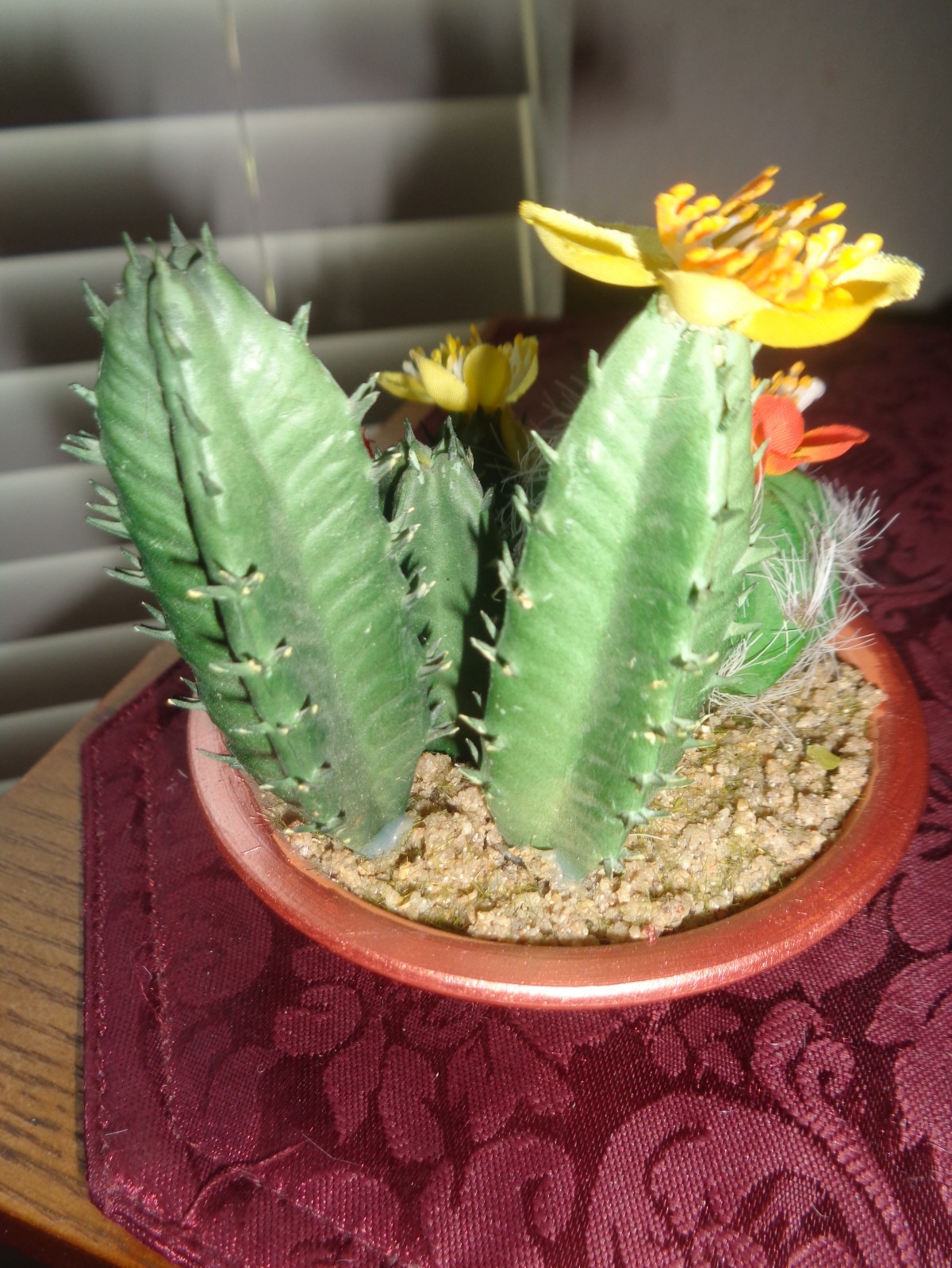 Ashland Potted Artificial Mini Cactus Cacti Assorted NWT